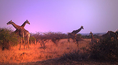 South Africa